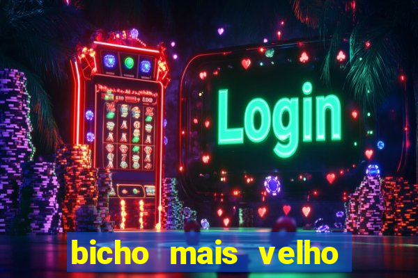 bicho mais velho da loteria dos sonhos